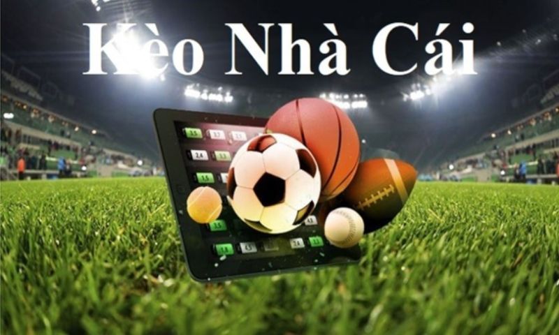 Kèo nhà cái được đưa ra dựa vào yếu tố nào?