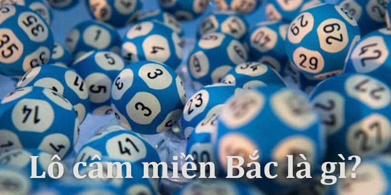 L&ocirc; c&acirc;m miền Bắc l&agrave; g&igrave;?