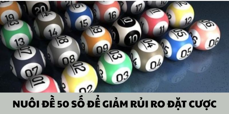 Nu&ocirc;i đề 50 số để giảm thiểu rủi ro đặt cược