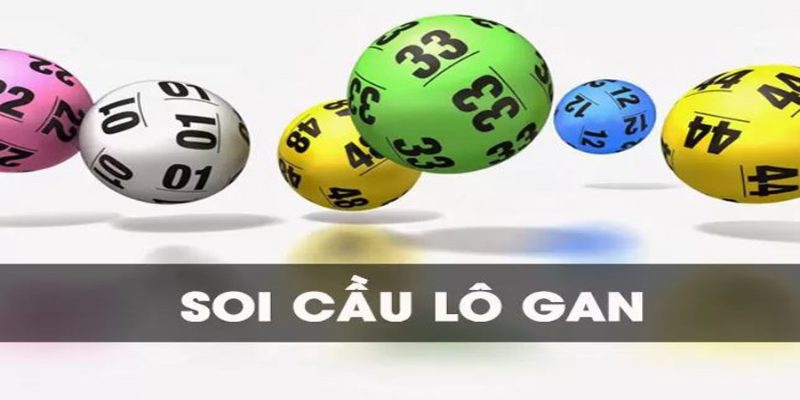 Soi cầu l&ocirc; gan mang tới lợi nhuận lớn cho c&aacute;c cược thủ